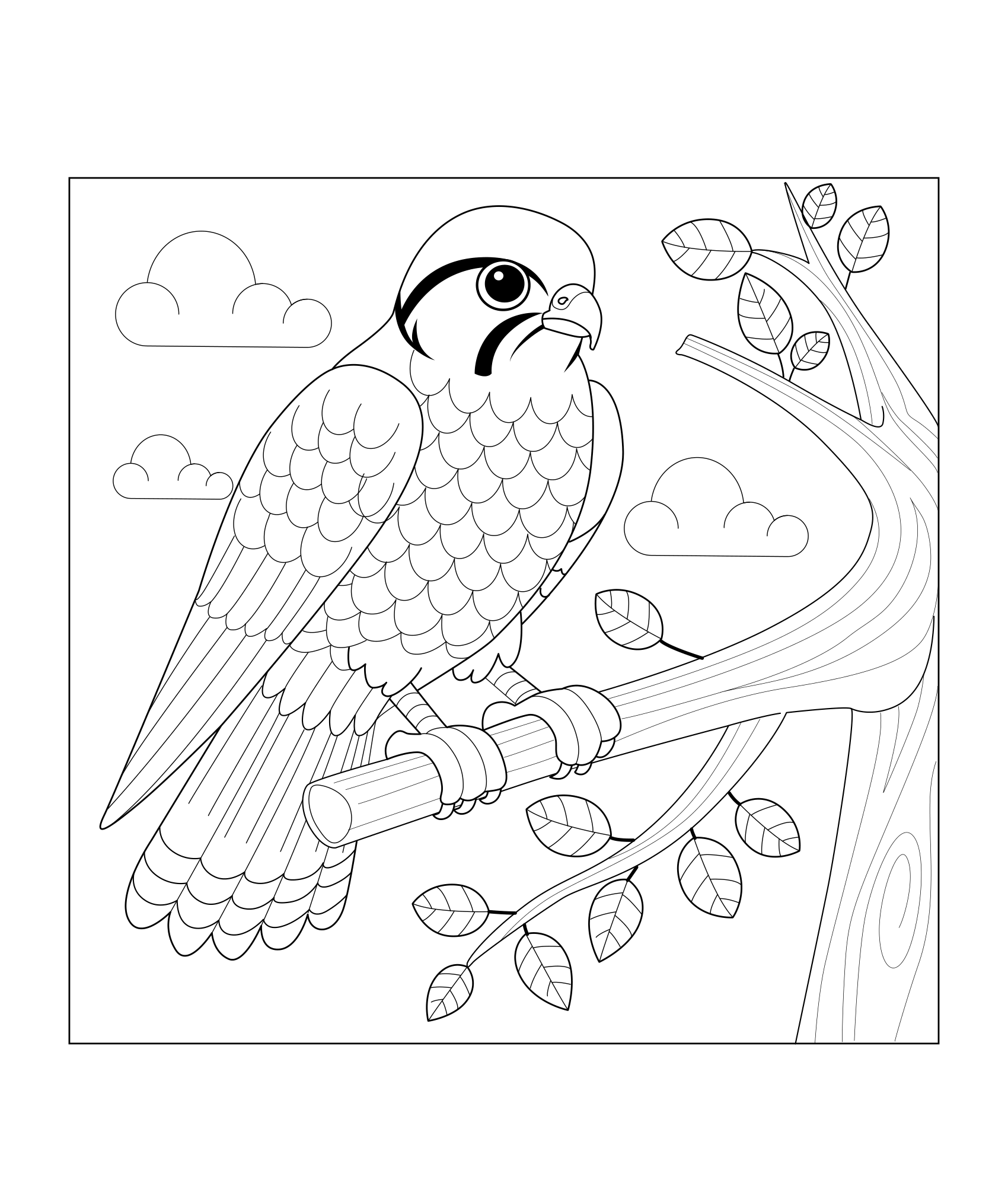 Eagle Sketch Preview - Falcon - DigiVault